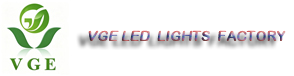 Shenzhen VGE Technology Co.,Ltd 